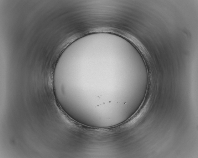 X0000111870857200907231150