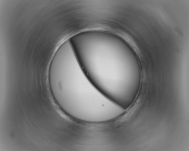 X0000111870858200907231150