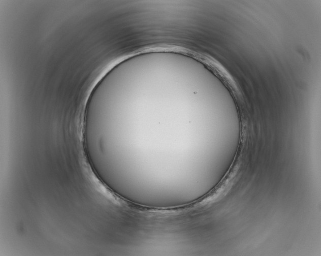 X0000111870860200907231150