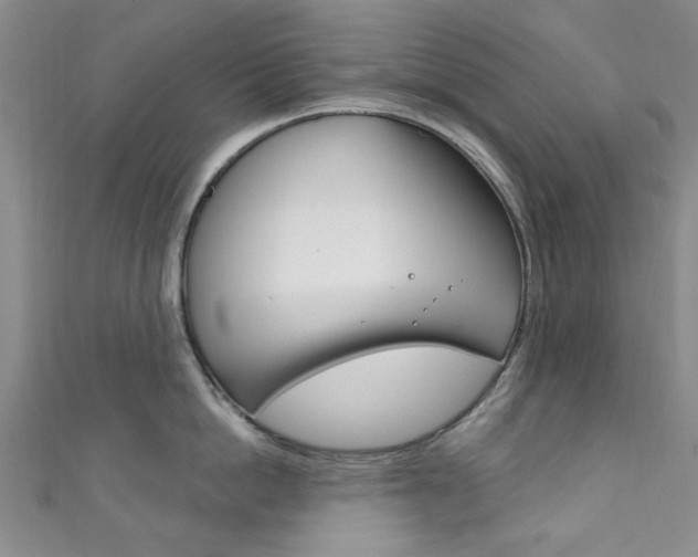 X0000111870862200907231150