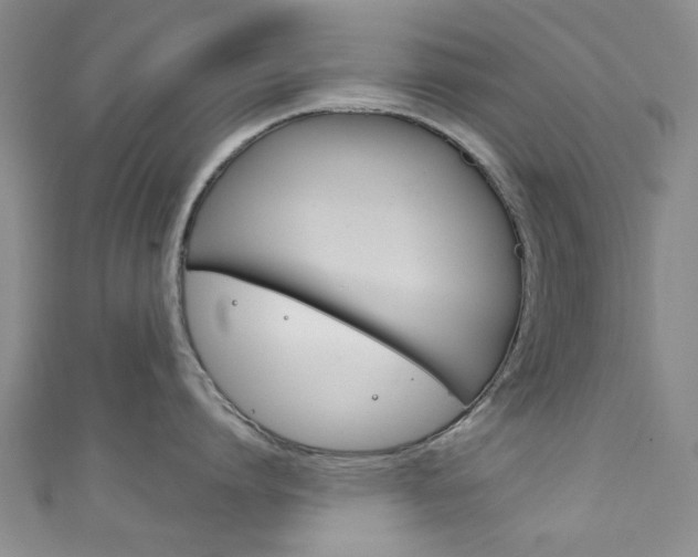 X0000111870864200907231150