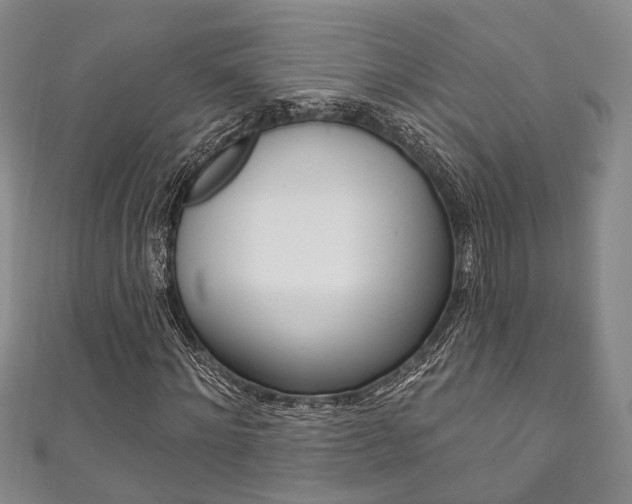 X0000111870868200907231149