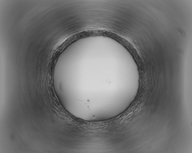 X0000111870871200907231149