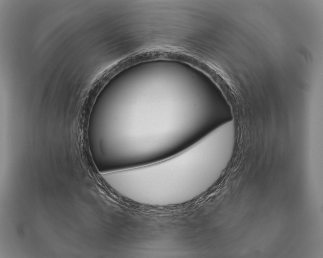 X0000111870872200907231149