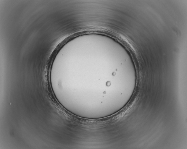 X0000111870875200907231149
