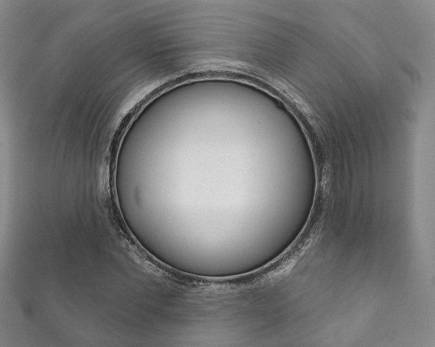 X0000111870877200907231149