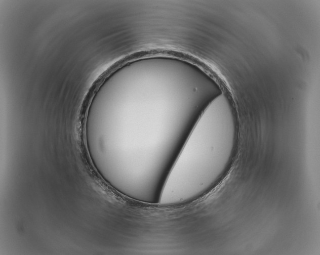 X0000111870879200907231149