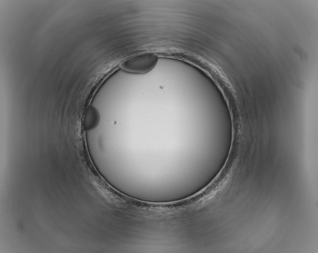 X0000111870881200907231149