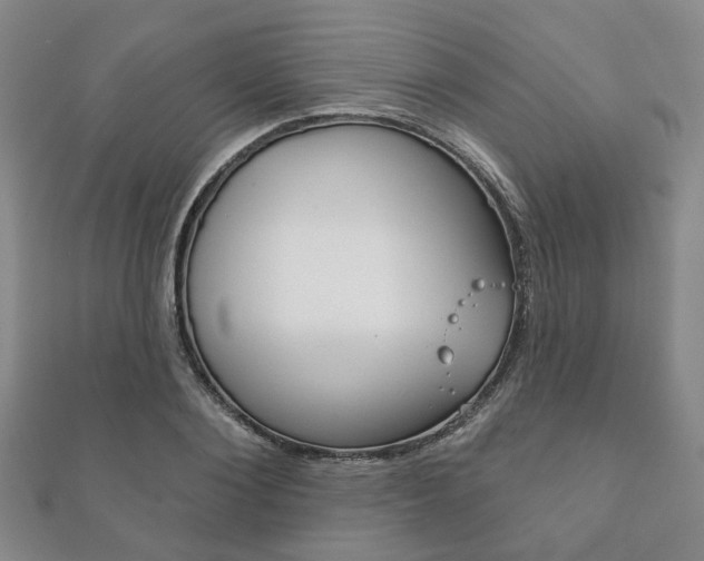 X0000111870884200907231149