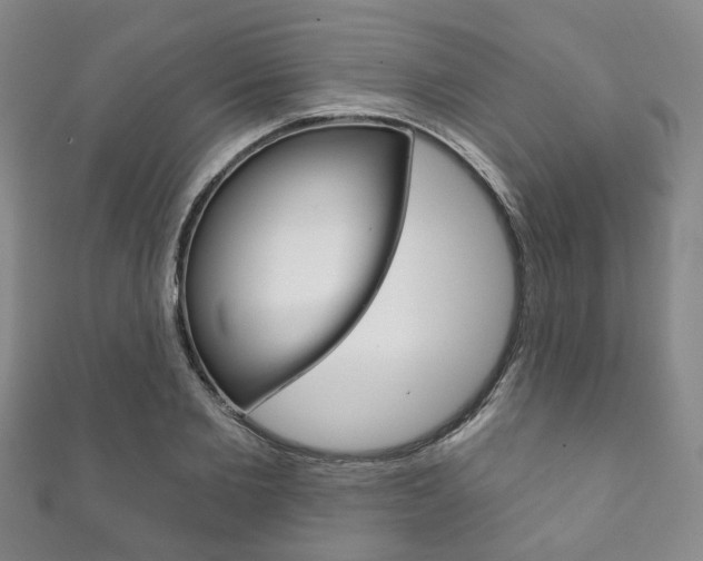 X0000111870885200907231149