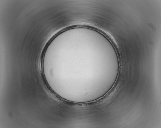 X0000111870887200907231149