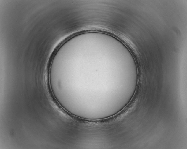 X0000111870888200907231149