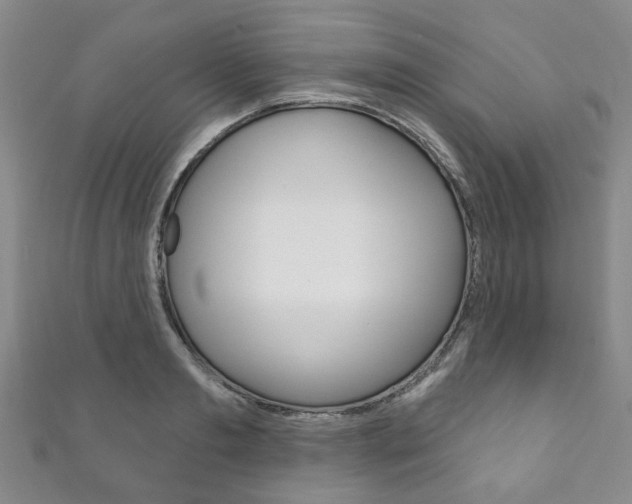 X0000111870893200907231149