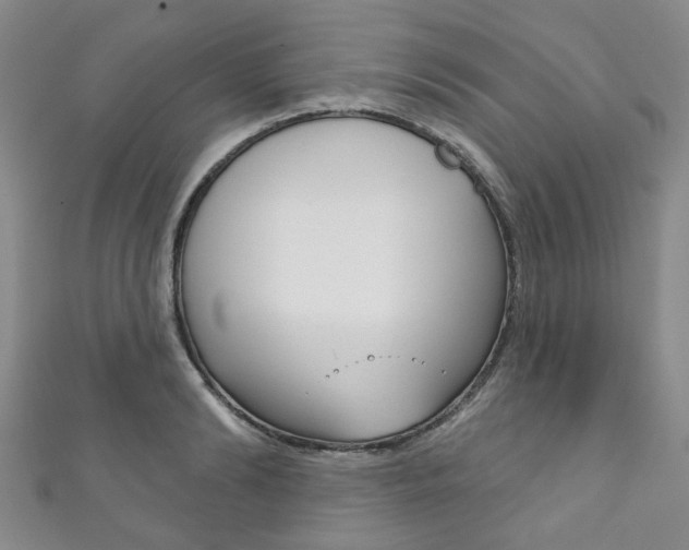 X0000111870894200907231149