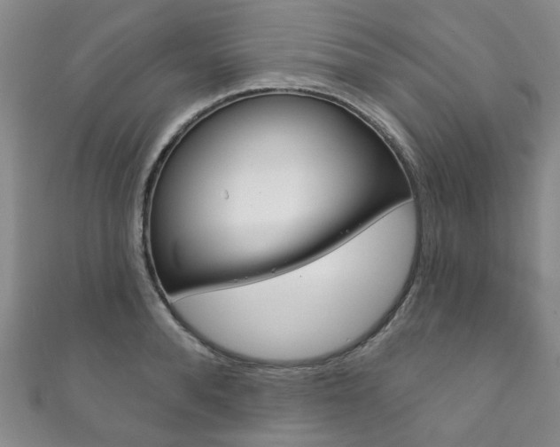 X0000111870896200907231149