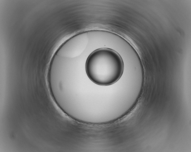 X0000111870901200907231149