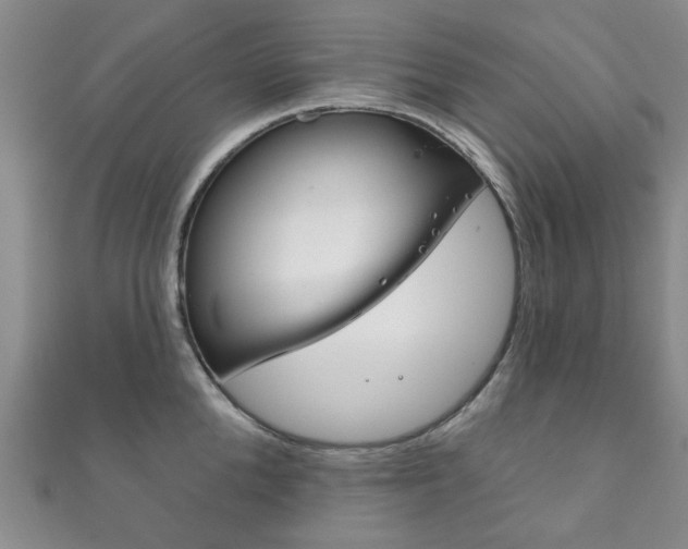 X0000111870904200907231149