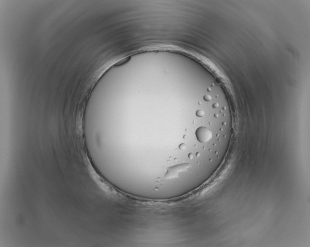 X0000111870905200907231149