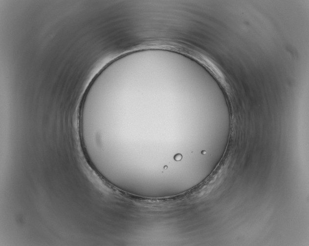X0000111870907200907231149