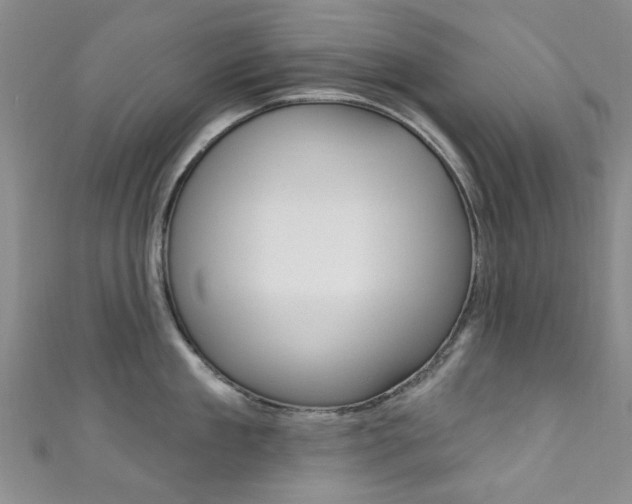X0000111870909200907231149