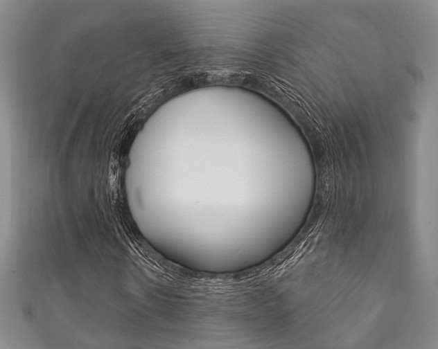 X0000111870914200907231148
