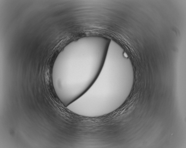 X0000111870915200907231148