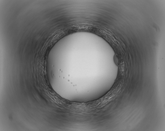 X0000111870916200907231148