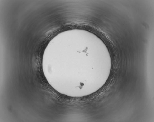 X0000111870918200907231148