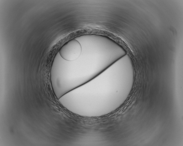 X0000111870919200907231148