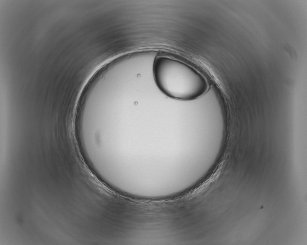 X0000111870924200907231148