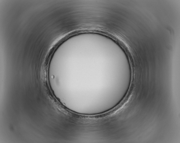 X0000111870925200907231148