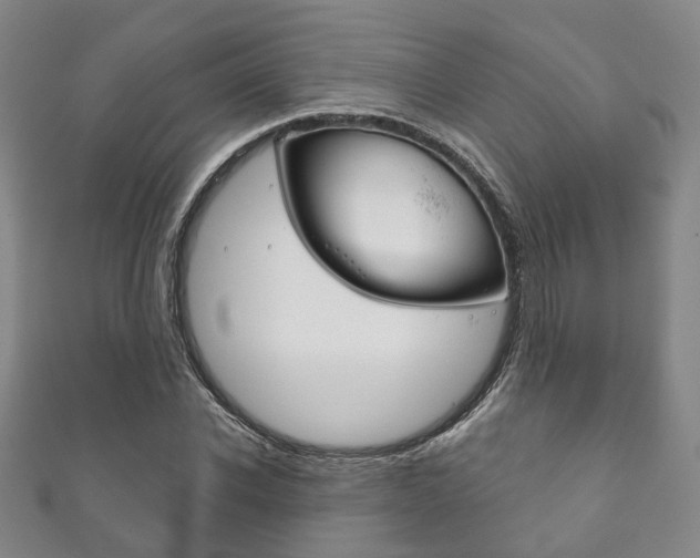 X0000111870926200907231148