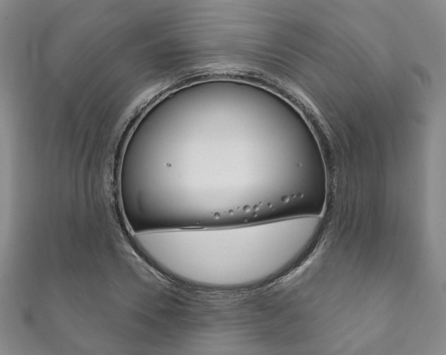 X0000111870930200907231148