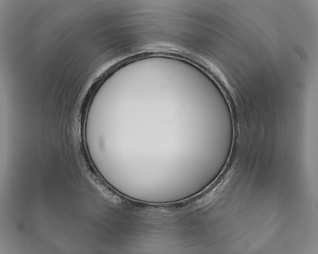 X0000111870931200907231148