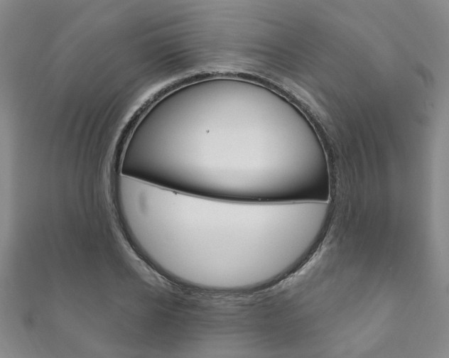X0000111870934200907231148