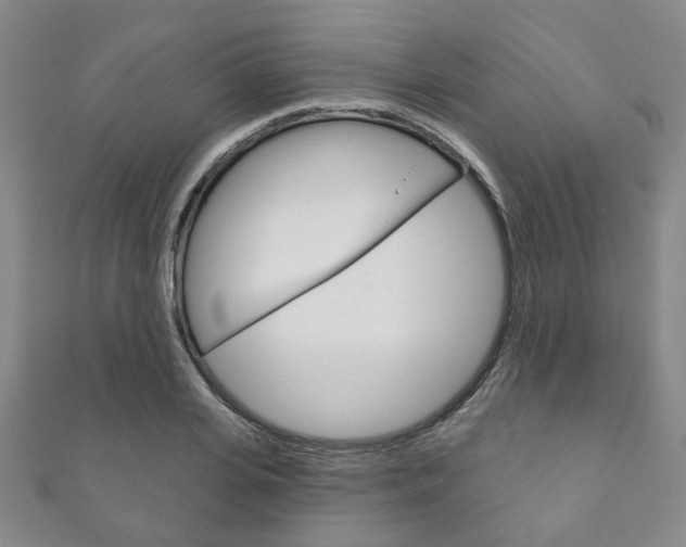 X0000111870935200907231148