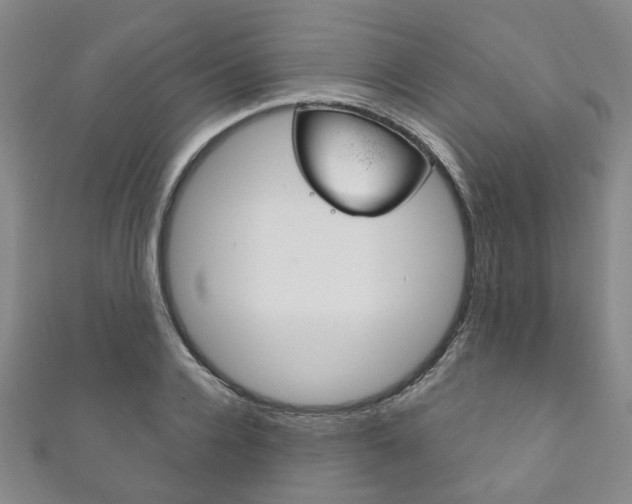 X0000111870936200907231148