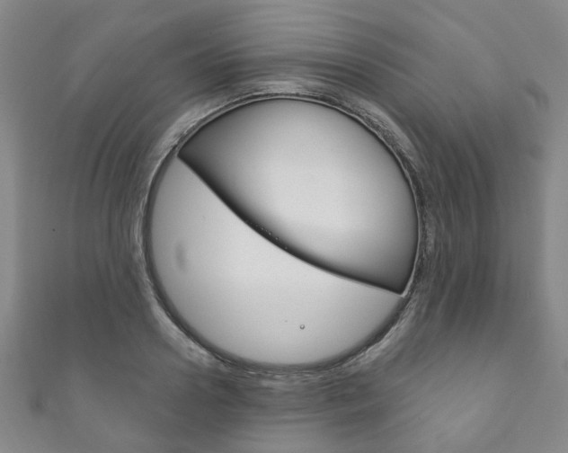 X0000111870938200907231148