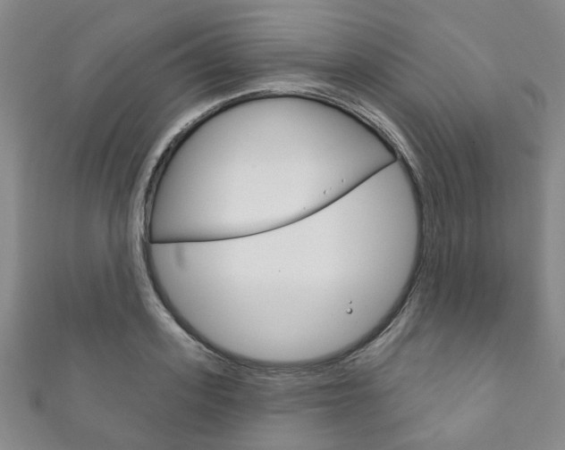 X0000111870939200907231148