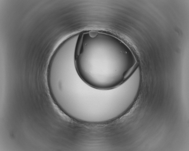 X0000111870942200907231148
