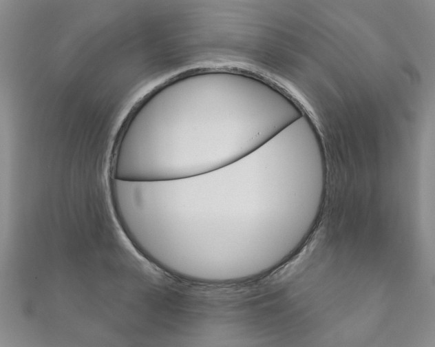 X0000111870943200907231148