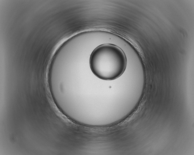 X0000111870944200907231148