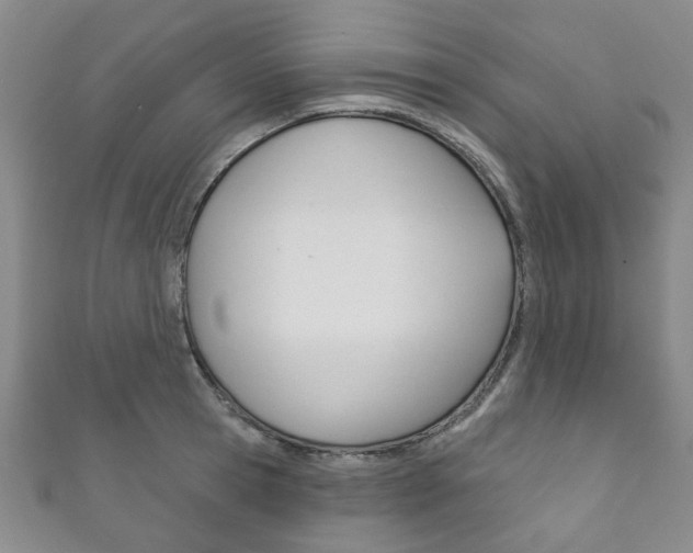 X0000111870945200907231148