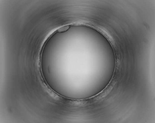 X0000111870948200907231148