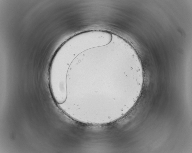X0000111870950200907231148