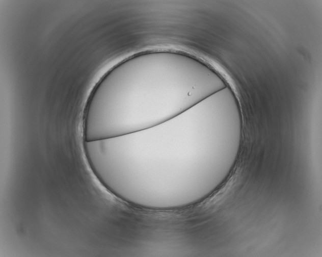 X0000111870951200907231148