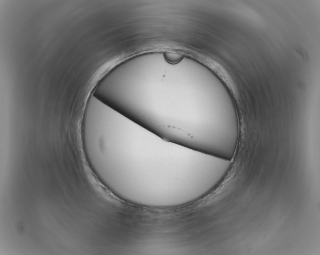 X0000111870954200907231148