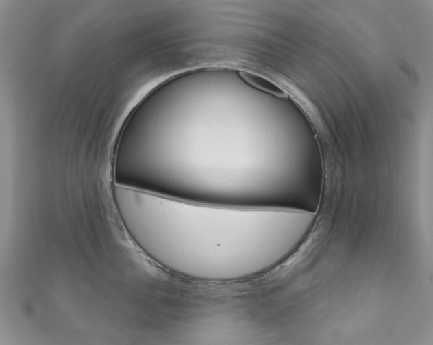 X0000111870956200907231148
