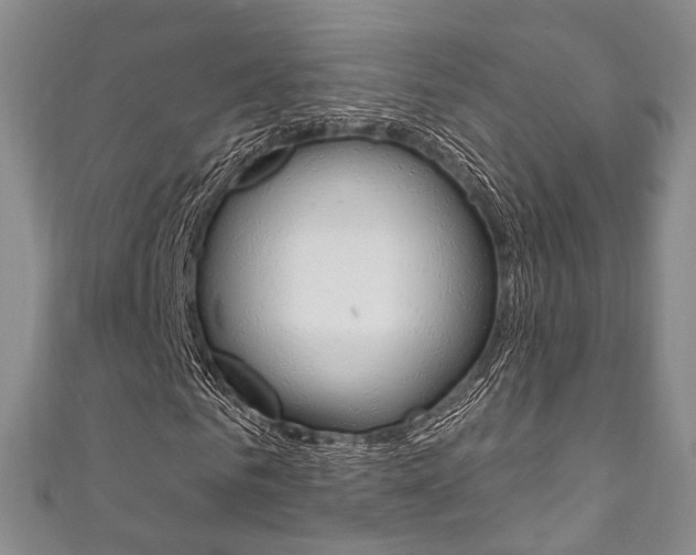 X0000111870961200907231148