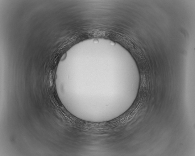 X0000111870962200907231148